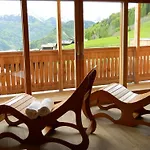Riglarhaus 3* Sauris