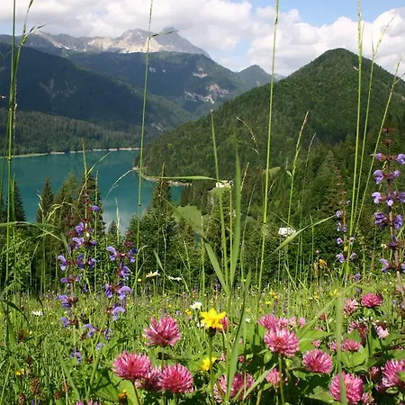 Riglarhaus Hotel Sauris