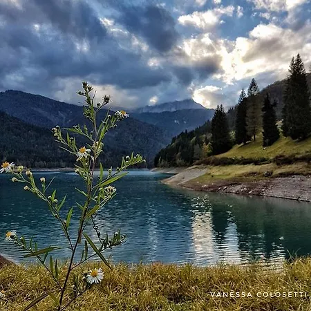 호텔 Riglarhaus 사우리스