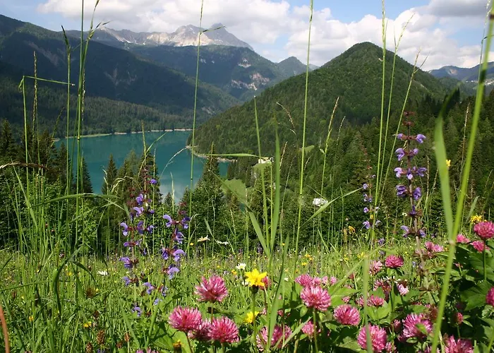 Riglarhaus Hotel Sauris