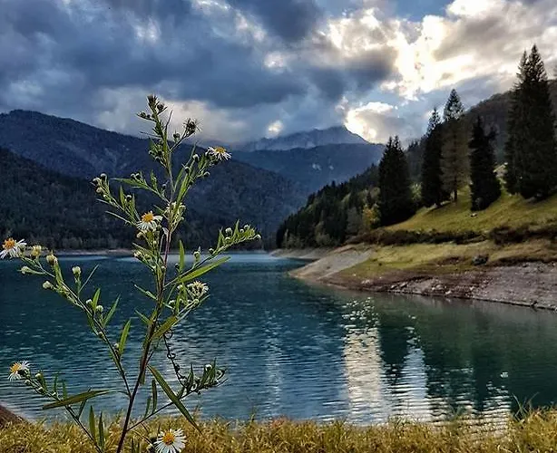 Hotel Riglarhaus Sauris